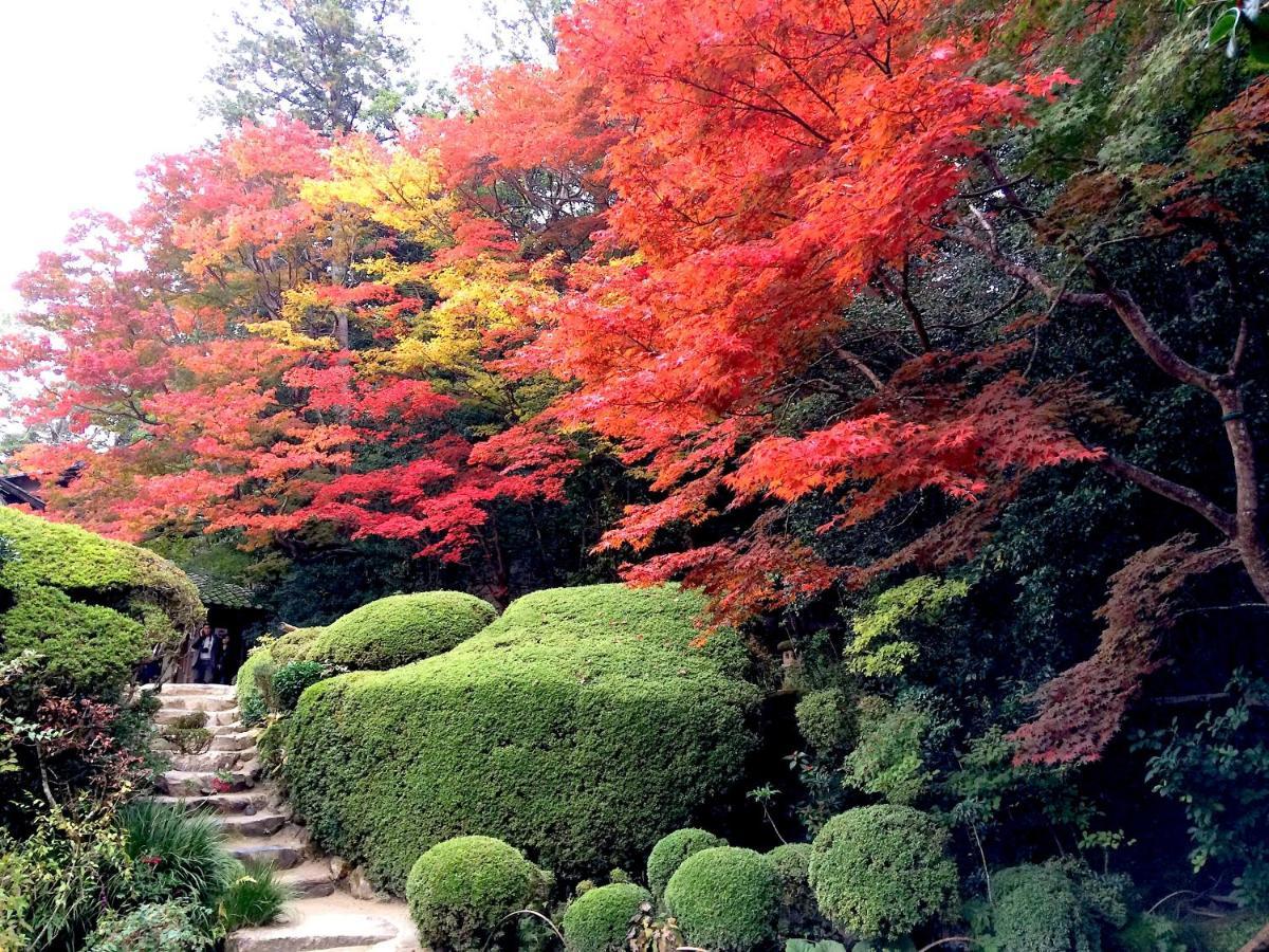 Sanzen Ya Kyoto さんぜんやきょうと- Cozy Art Space For Lover Of Travel - Extérieur photo
